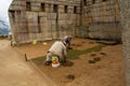 Maintenance workers remove  unwanted  green moss at Macchu Picchu, 15th of march 2019 Royalty Free Stock Photo