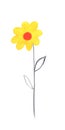 Maio laranja symbol. Yellow flower