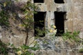 Maisie In The Window - Bishop`s Palace, Wells, Somerset, UK Royalty Free Stock Photo