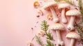 Maitake mushroom, known as grifola frondosa, displayed on a gentle pastel colored background