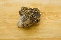 Maitake mushrooms on wooden table Royalty Free Stock Photo