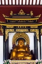 Maitreya buddha