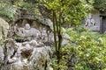 Maitreya and disciples carving in Feilai Feng Caves Royalty Free Stock Photo