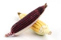 Maiz morado and corn grains are beneficial to the body. Royalty Free Stock Photo