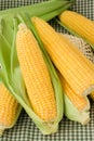 Maize