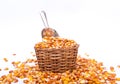 Maize beans in a wooden basket Royalty Free Stock Photo