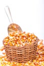 Maize beans in a wooden basket Royalty Free Stock Photo