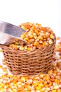 Maize beans in a wooden basket Royalty Free Stock Photo