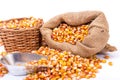Maize beans in a wooden basket Royalty Free Stock Photo