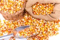 Maize beans in a wooden basket Royalty Free Stock Photo