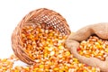 Maize beans in a wooden basket Royalty Free Stock Photo
