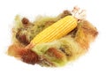 Maize cob on a bunch of dried corn silk on isolated white background.Dry dried herbs fibers and silk as Royalty Free Stock Photo