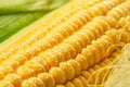 Maize cob or corn cob and maize corn silk close up. Macro shot Royalty Free Stock Photo