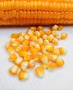 Maize cob popcorn kernels yellow organic fresh sweetcorn seeds Zea mays closeup stock image Royalty Free Stock Photo