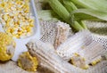 Maize-cob and yellow corn kernels in white glass vase on white wooden background - zea mays Royalty Free Stock Photo