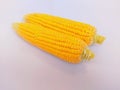 Maize cobs sweet corn on the cob yellow whole ear-maize ear-corn sweetcorns zea mays makka bhutta maiz milho mais photo Royalty Free Stock Photo