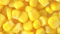 Maize corn background Royalty Free Stock Photo