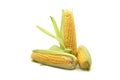 Maize or corn on the cob with leaves over white Royalty Free Stock Photo
