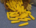Maize Corn Cobs Royalty Free Stock Photo