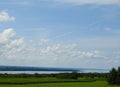 Maize corn crop field and farmland above Seneca Lake Royalty Free Stock Photo