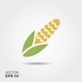 Maize, Corn flat icon vector, colorful logo illustration isolated on white