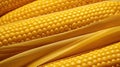 maize corn grain