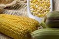 Maize- ears of yellow corn with grains in a white bowl - zea mays Royalty Free Stock Photo