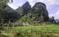 Ancient graves in vietnam 5 Royalty Free Stock Photo