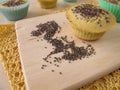 Maize flour bread muffins with chia seeds