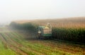 Maize harvest Royalty Free Stock Photo