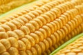 Maize seeds in corn cob covered with small water drops. Macro shot