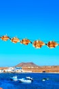 Majanicho dried Parrot fish Vieja in Fuerteventura