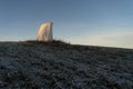 Majersteinen Rock, mythical stone at Toten