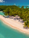 A majestic aerial shot of a secluded beach, with lush palm trees