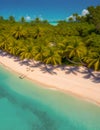 A majestic aerial shot of a secluded beach, with lush palm trees