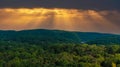 A majestic aerial shot of vast miles of lush green trees with the Chattahoochee river running through them with powerful clouds