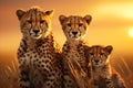 Majestic african cheetah family roaming savannah at vibrant sunset