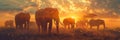Majestic african elephant herd in golden dawn light crossing vast savanna plains