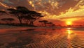 Majestic African landscape tranquil sunset paints ripples on sand