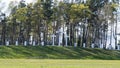 Majestic Aglona Cathedral in Latvia. White Chatolic Church Basilica. Royalty Free Stock Photo