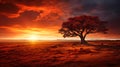 Majestic and alone, an old tree graces an autumn field with a madly epic look at sunset Royalty Free Stock Photo