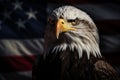 Majestic american bald eagle with outstretched wings perched on grunge flag background Royalty Free Stock Photo