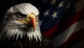 Majestic american bald eagle perched on grunge flag, representing freedom and patriotism Royalty Free Stock Photo