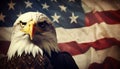 Majestic american bald eagle proudly perched on vintage grunge american flag with distressed texture Royalty Free Stock Photo