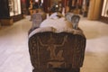 Majestic Ancient Sarcophagus with Hieroglyphics symbols in the Cairo Egyptian Museum, the oldest archaeological museum in the Mid