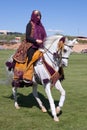 Majestic Arabian Horse