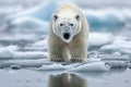Majestic arctic scene Polar bear on icy terrain in Svalbard