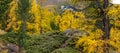 Majestic autumn alpine scenery with colorful larch forest