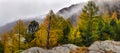 Majestic autumn alpine scenery with colorful larch forest