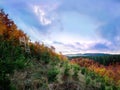 Majestic autumn forest with a deer-stand